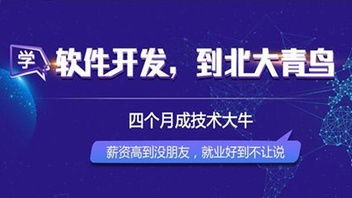 北大青鳥(niǎo)軟件開(kāi)發(fā)課程 開(kāi)啟北京IT教育新篇章