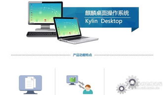 國(guó)產(chǎn)自主系統(tǒng) 唯有實(shí)干，方能上位